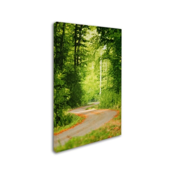 Philippe Sainte-Laudy 'S Road' Canvas Art,30x47